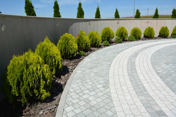 Reasons to Select Us for Your Driveway Paving Requirements in Kyle, SD
